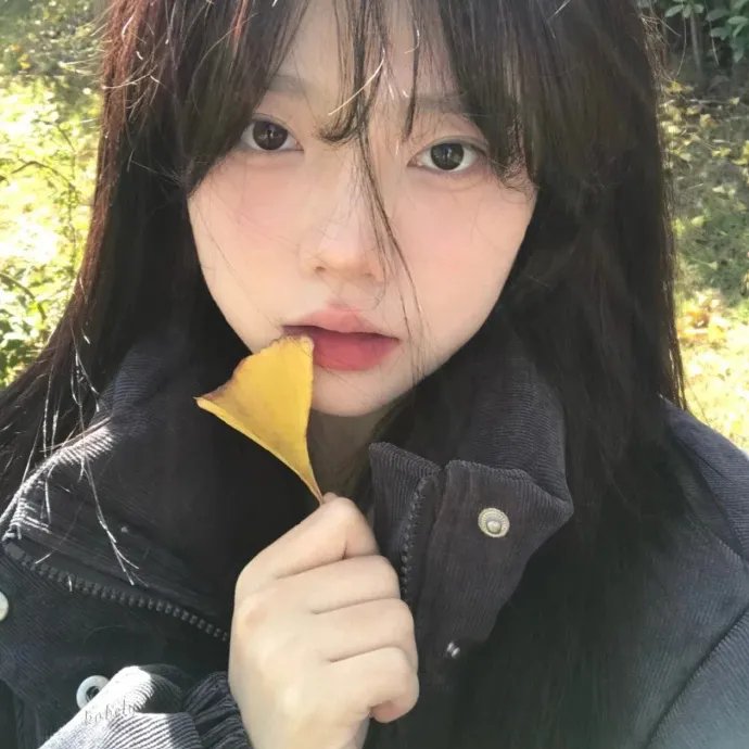 孤儿流浪记